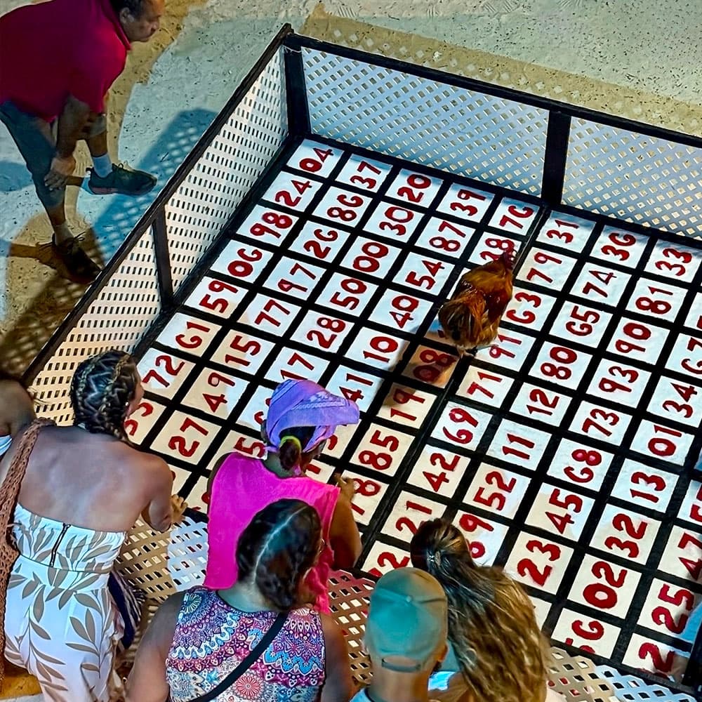 A group of people watches a chicken walking on a large bingo board set up on the ground.