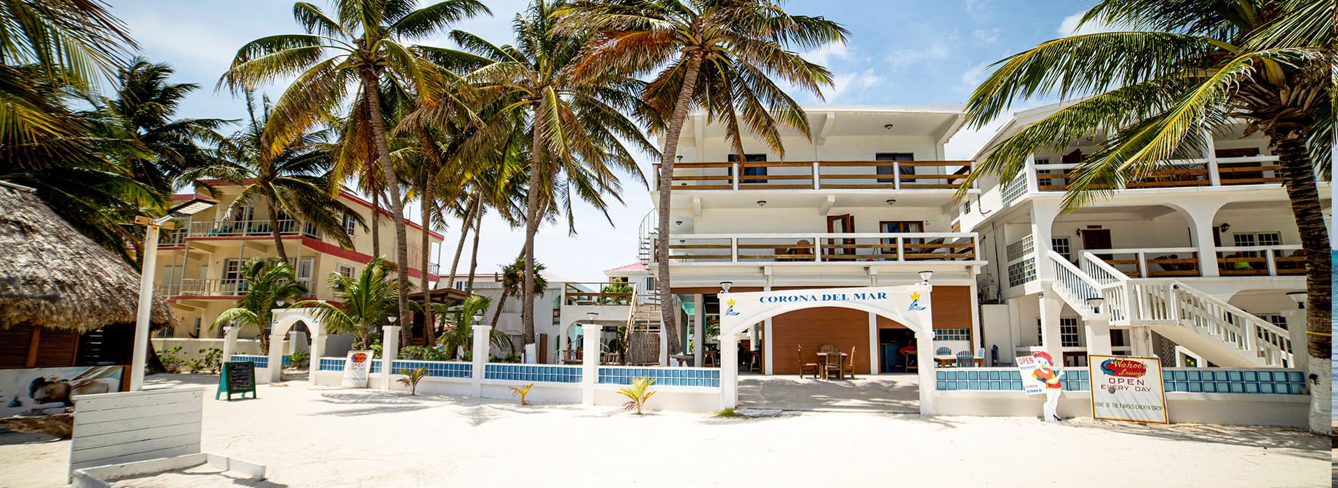 A beachfront hotel surrounded by palm trees with an inviting outdoor area.