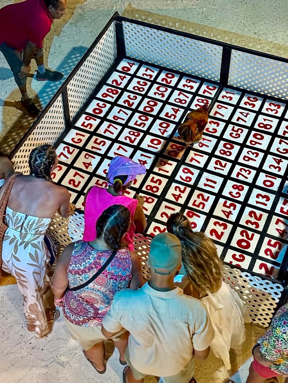 A group of people gathers around a large bingo board marked with numbers, while a chicken moves across the grid.